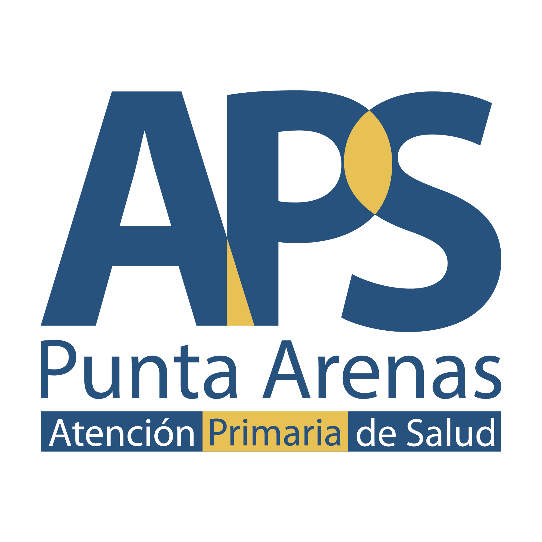 APS Punta Arenas